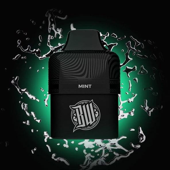 Bewolk Mint Ice Pod - 5% Nicotine - Vape Outlet South Africa