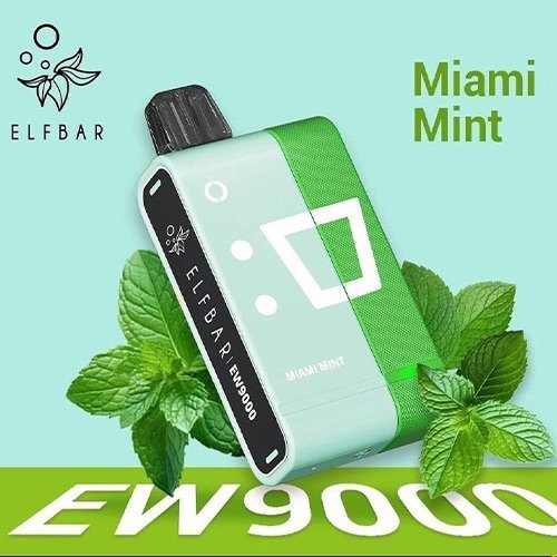 Elfbar EW9000 Miami Mint Kit - 5% Nicotine - Vape Outlet South Africa